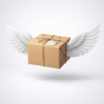 Envíos Regularización de transporte